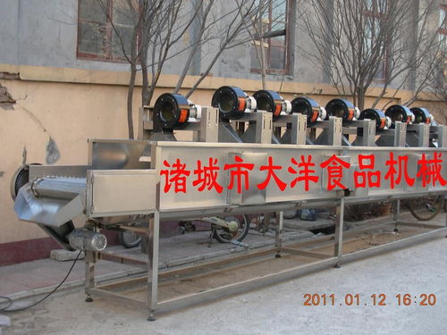 食品風(fēng)干設(shè)備 諸城市大洋食品機械廠